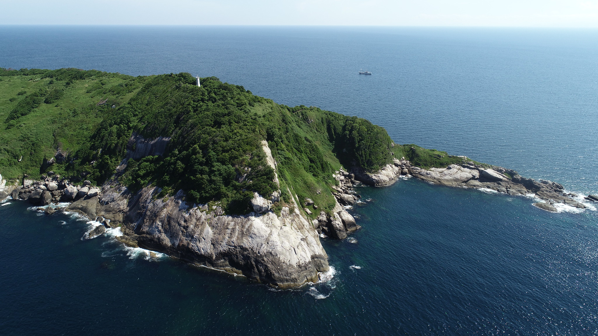 Ilha da Queimada Grande from above